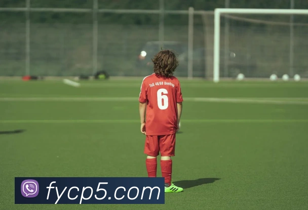 平台展示图